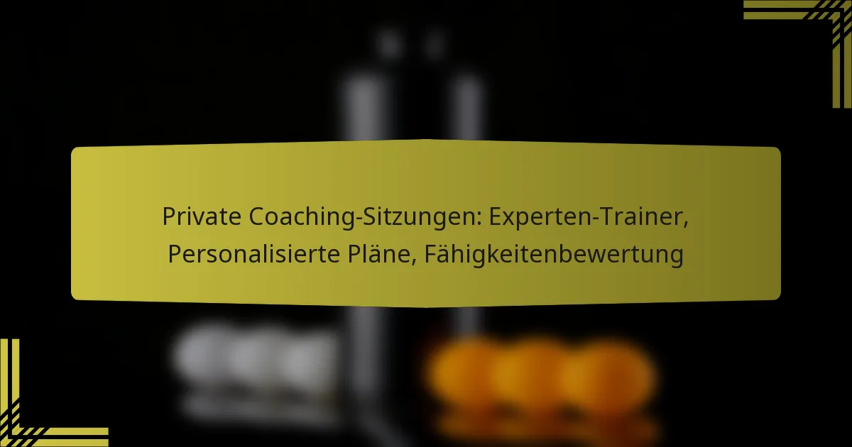 Private Coaching-Sitzungen: Experten-Trainer, Personalisierte Pläne, Fähigkeitenbewertung