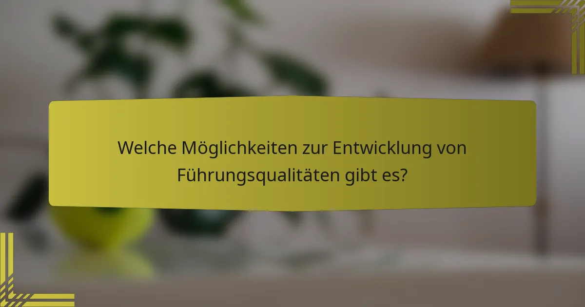 Welche Möglichkeiten zur Entwicklung von Führungsqualitäten gibt es?