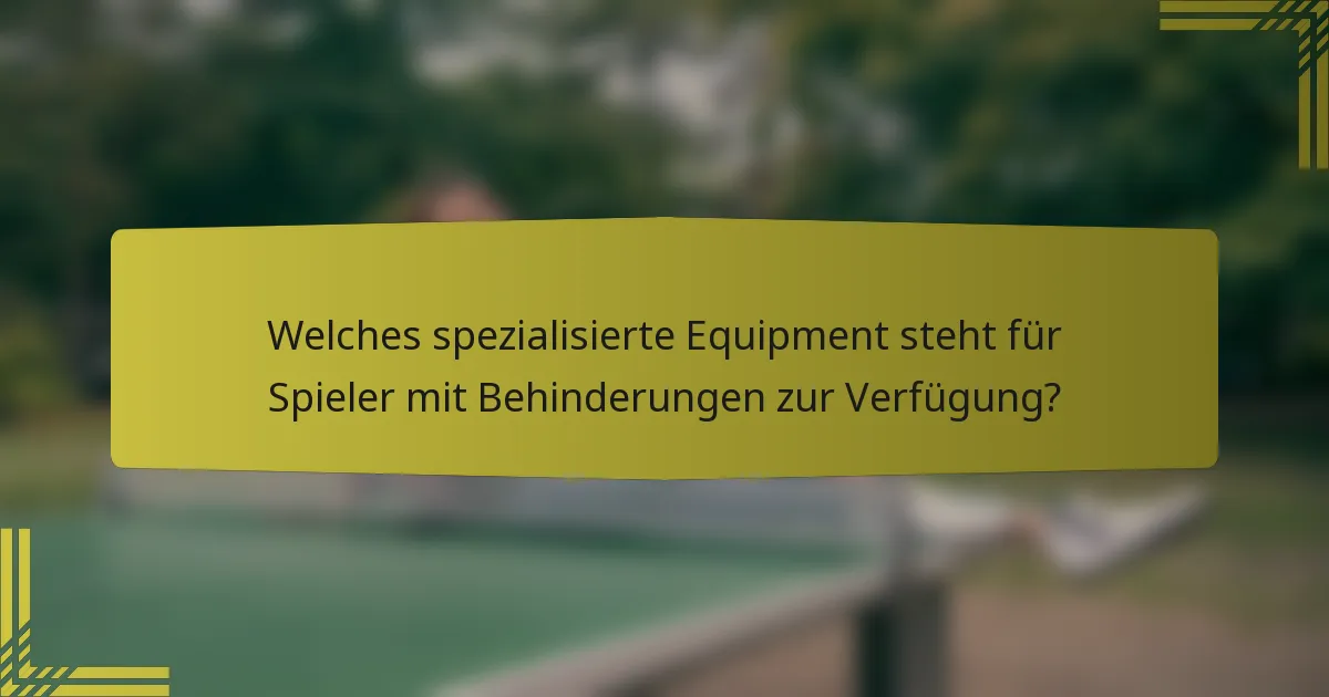 Welches spezialisierte Equipment steht für Spieler mit Behinderungen zur Verfügung?